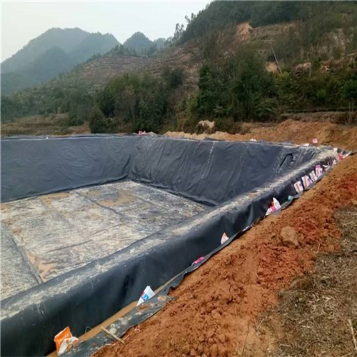 您了解魚(yú)塘防滲膜施工方法有哪些嗎?